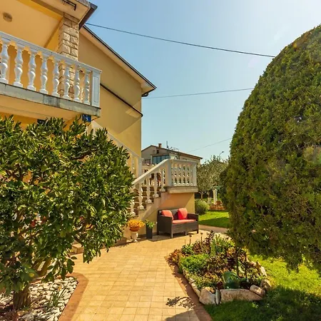 Franelic Guest house *