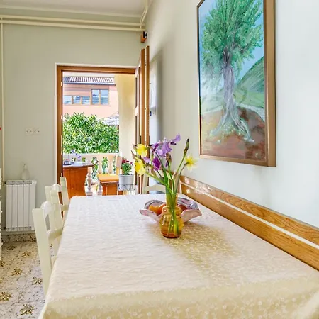 Franelic Guest house *