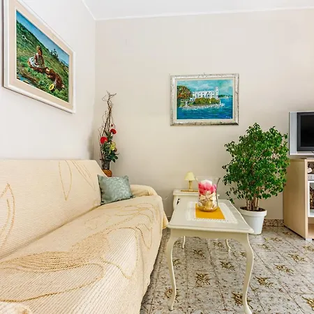 Franelic Guest house *